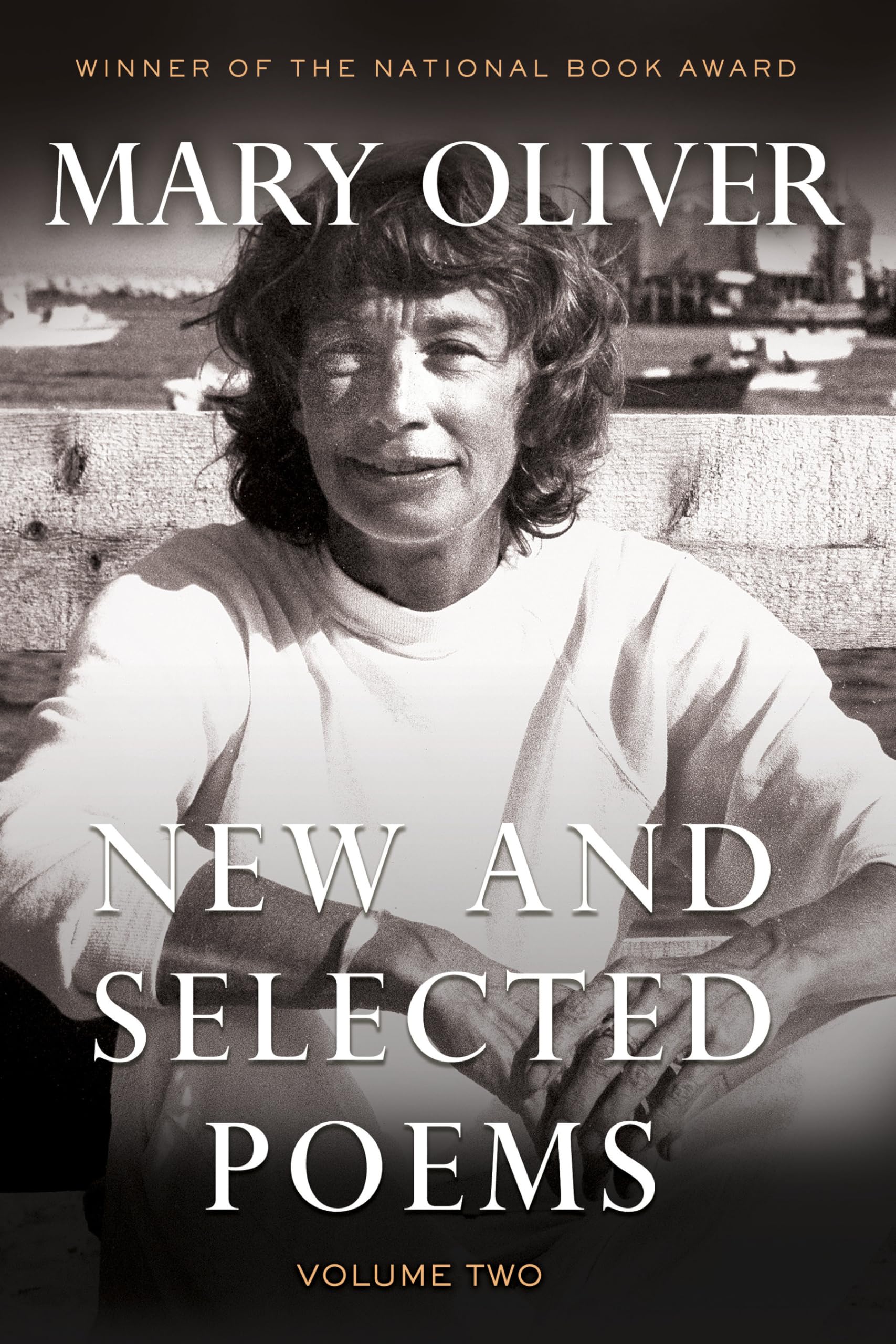 New and Selected Poems, Volume 2 book cover