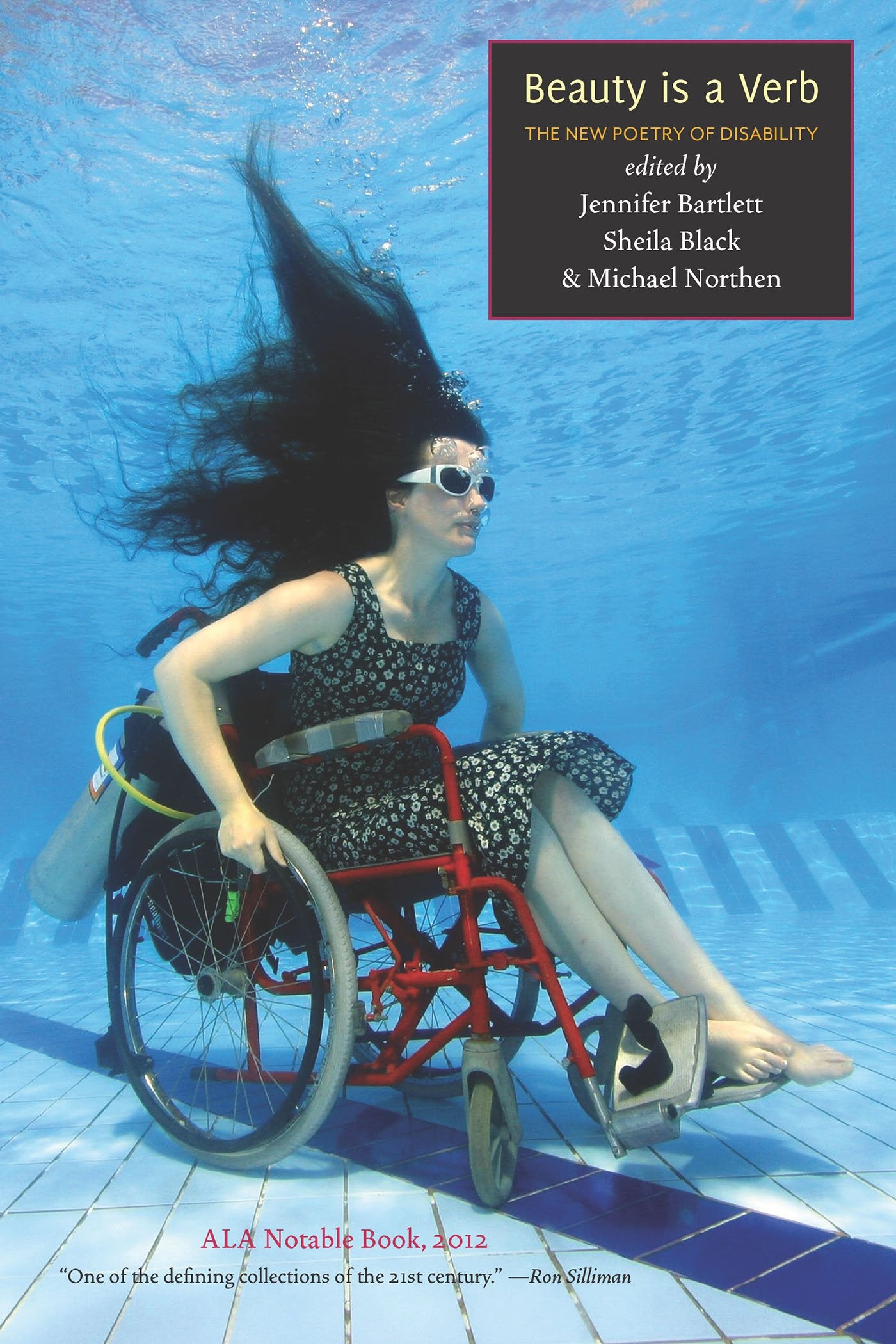 Beauty Is a Verb book cover