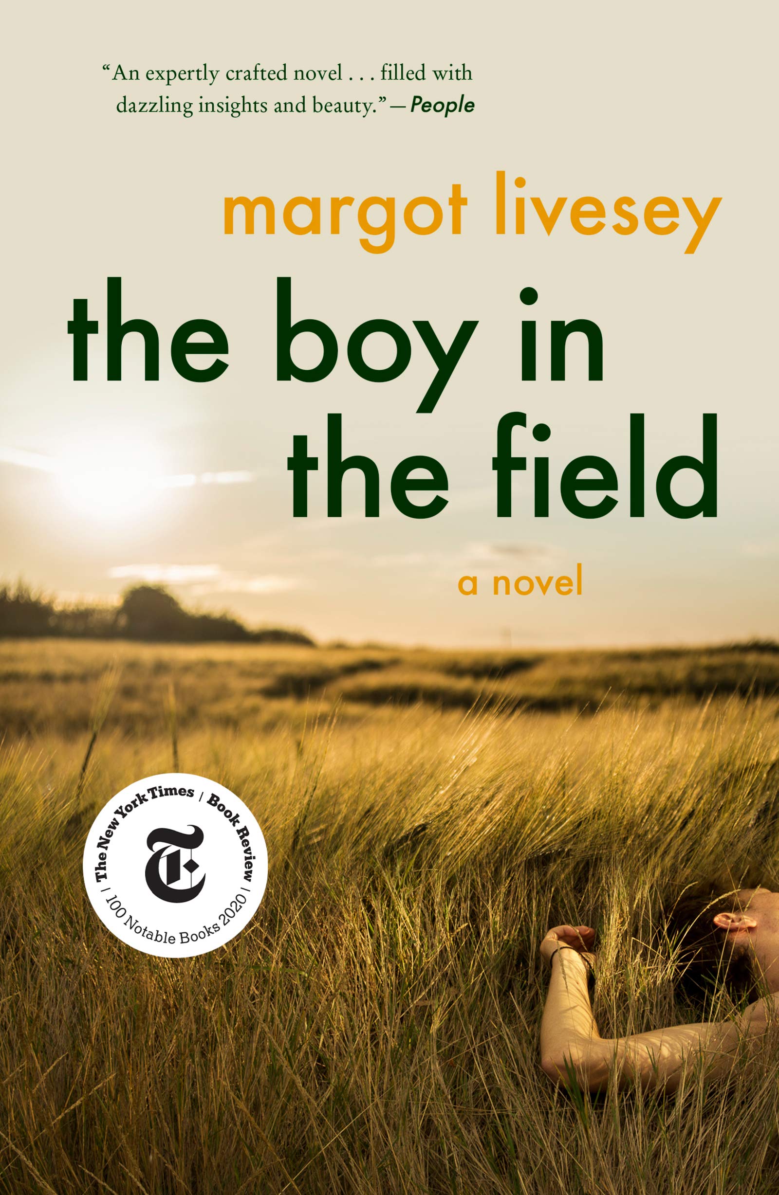 Boy in the Field book cover