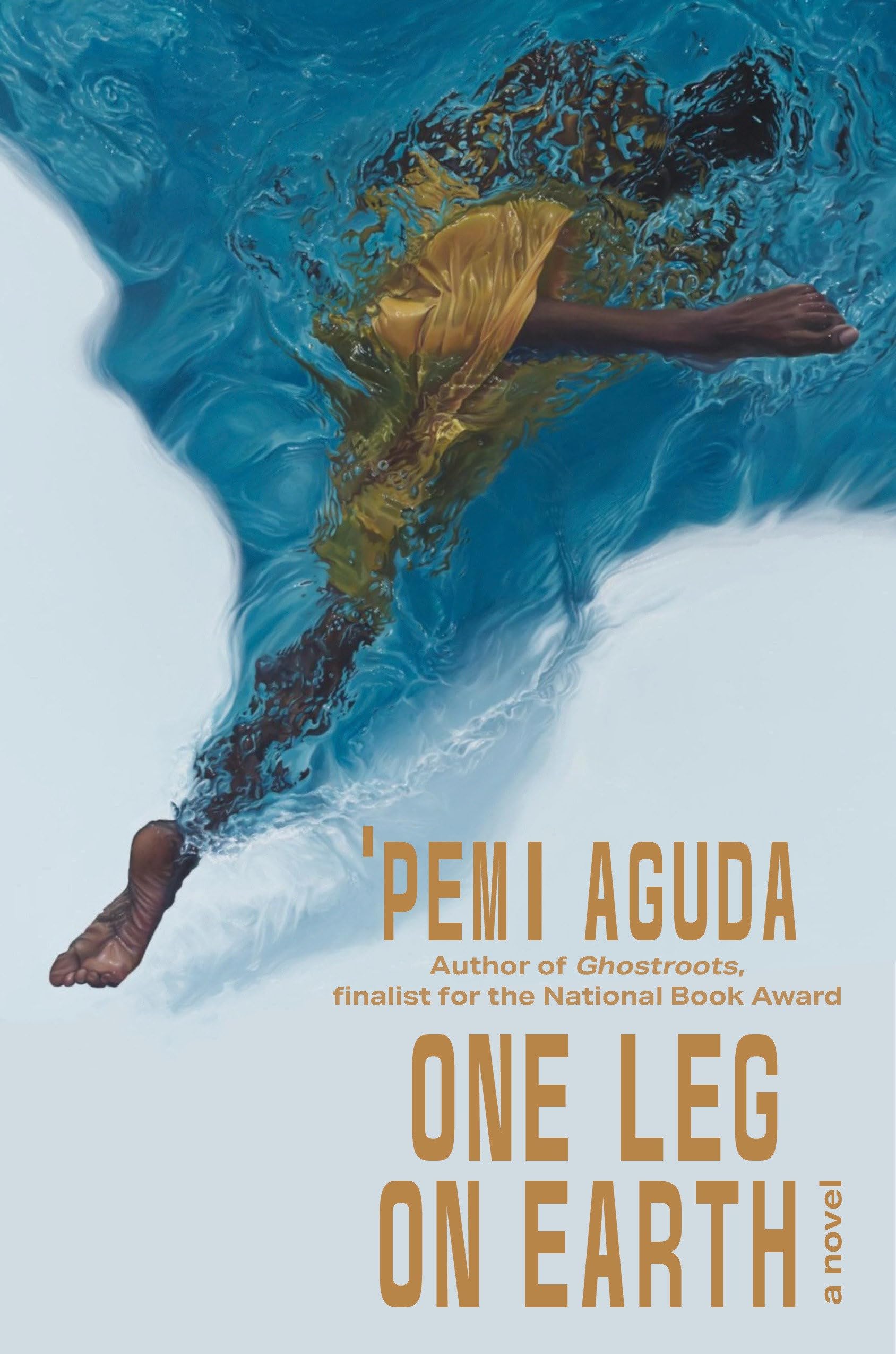 One Leg on Earth book cover