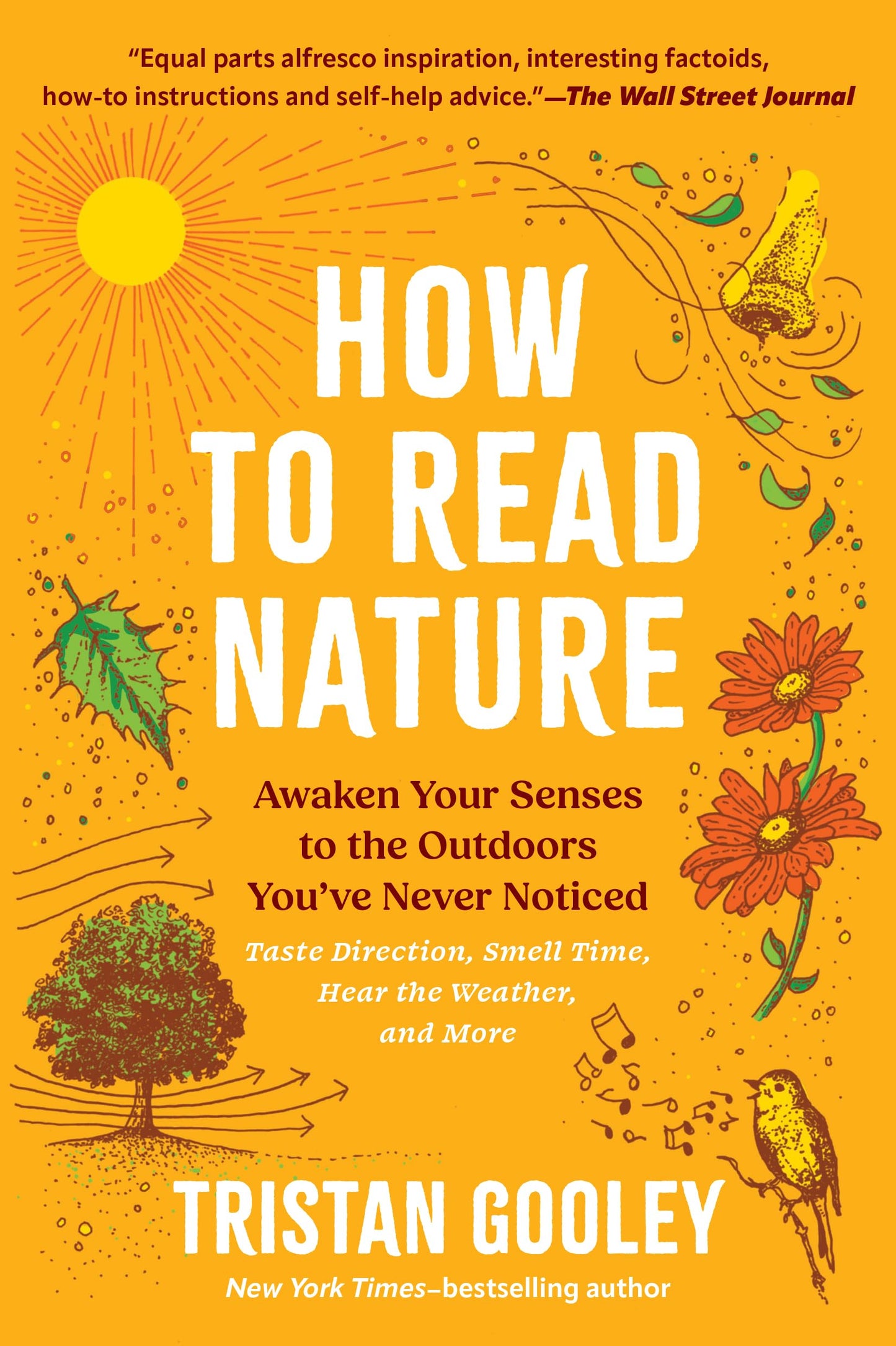 How to Read Nature book cover