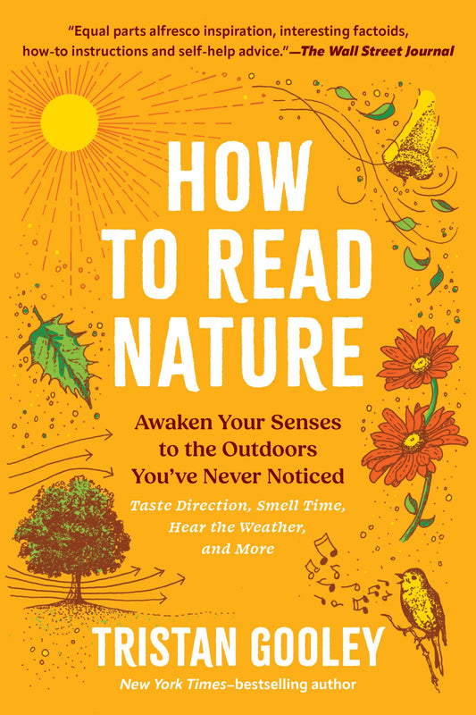 How to Read Nature book cover