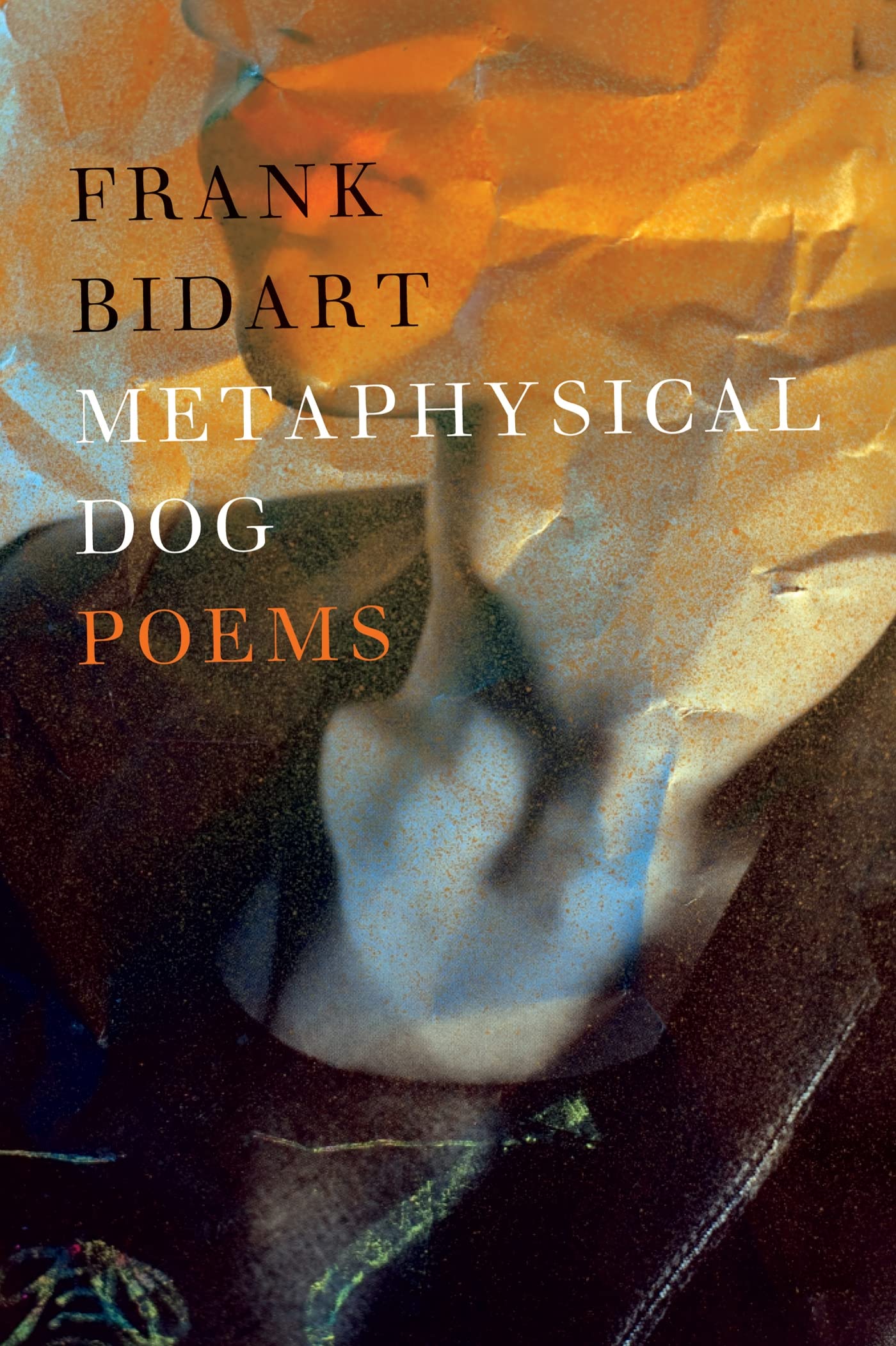Metaphysical Dog book cover