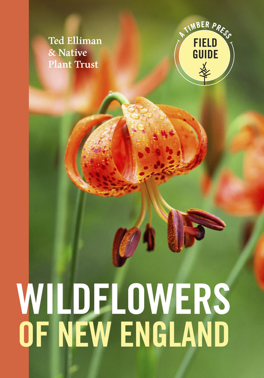 Wildflowers of New England book cover