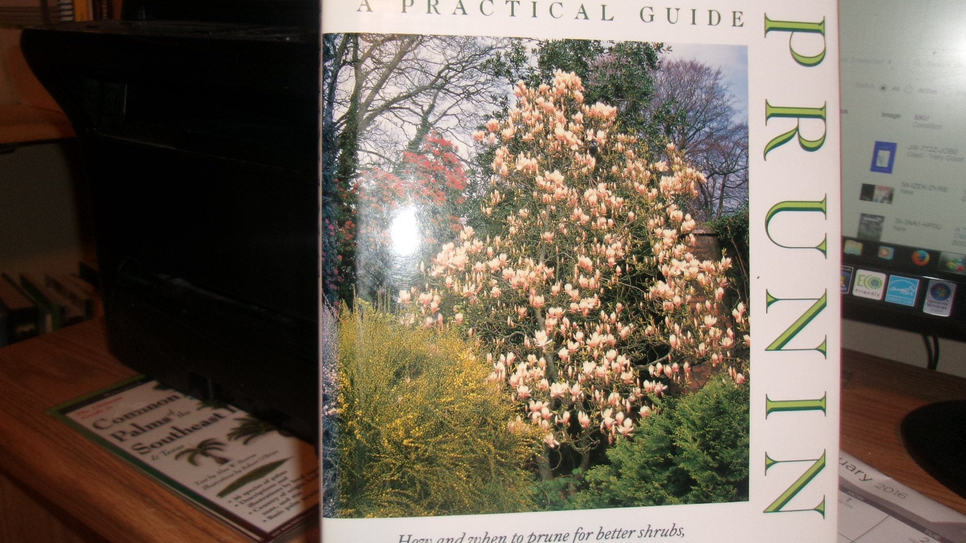 Pruning: A Practical Guide book cover