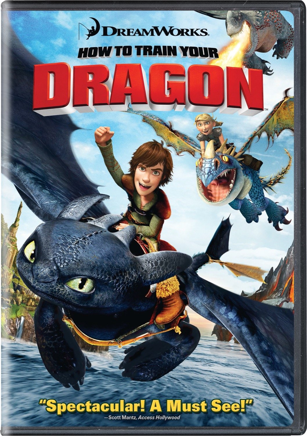 How to Train Your Dragon