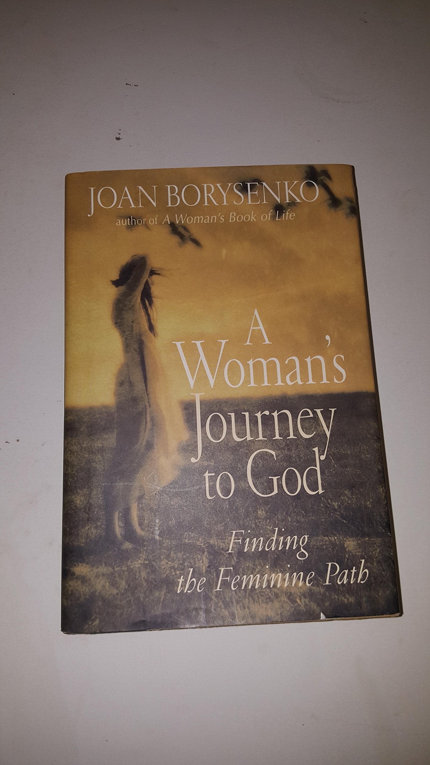 Woman's Journey to God: Finding the Feminine Path book cover