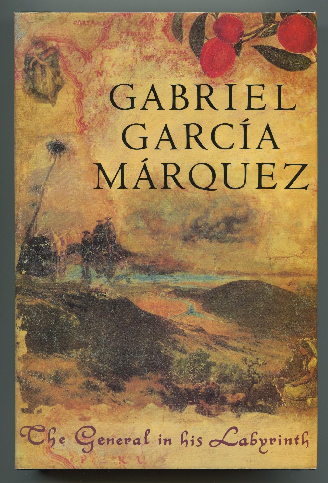 The General in His Labyrinth book cover