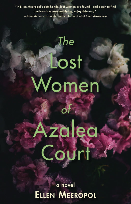 Lost Women of Azalea Court book cover