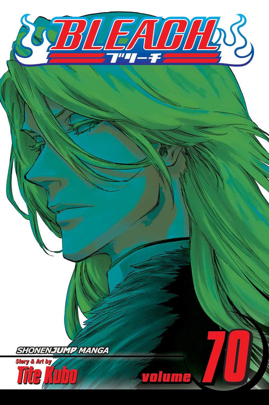 Bleach, Vol. 70 (70) book cover