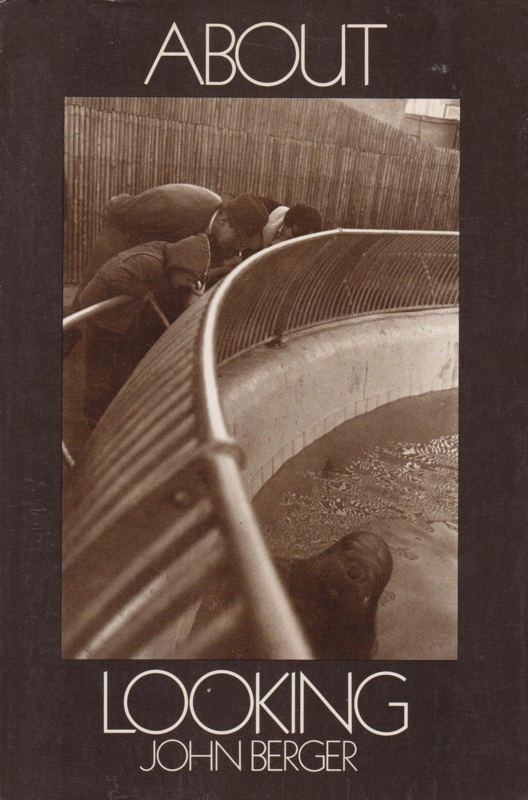 About Looking (American) book cover