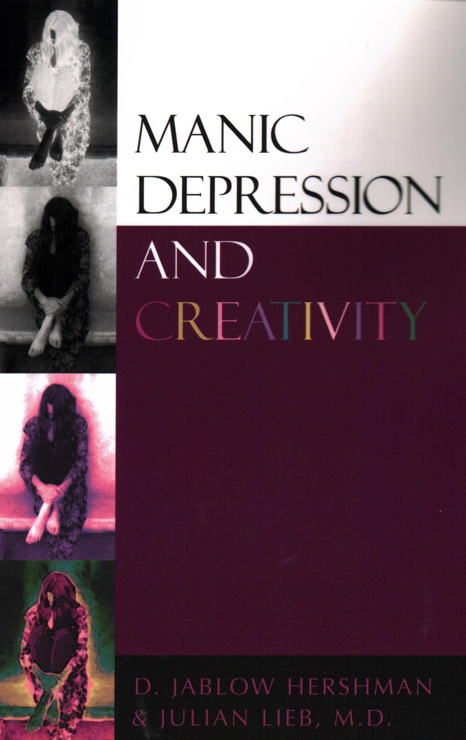Manic Depression and Creativity book cover