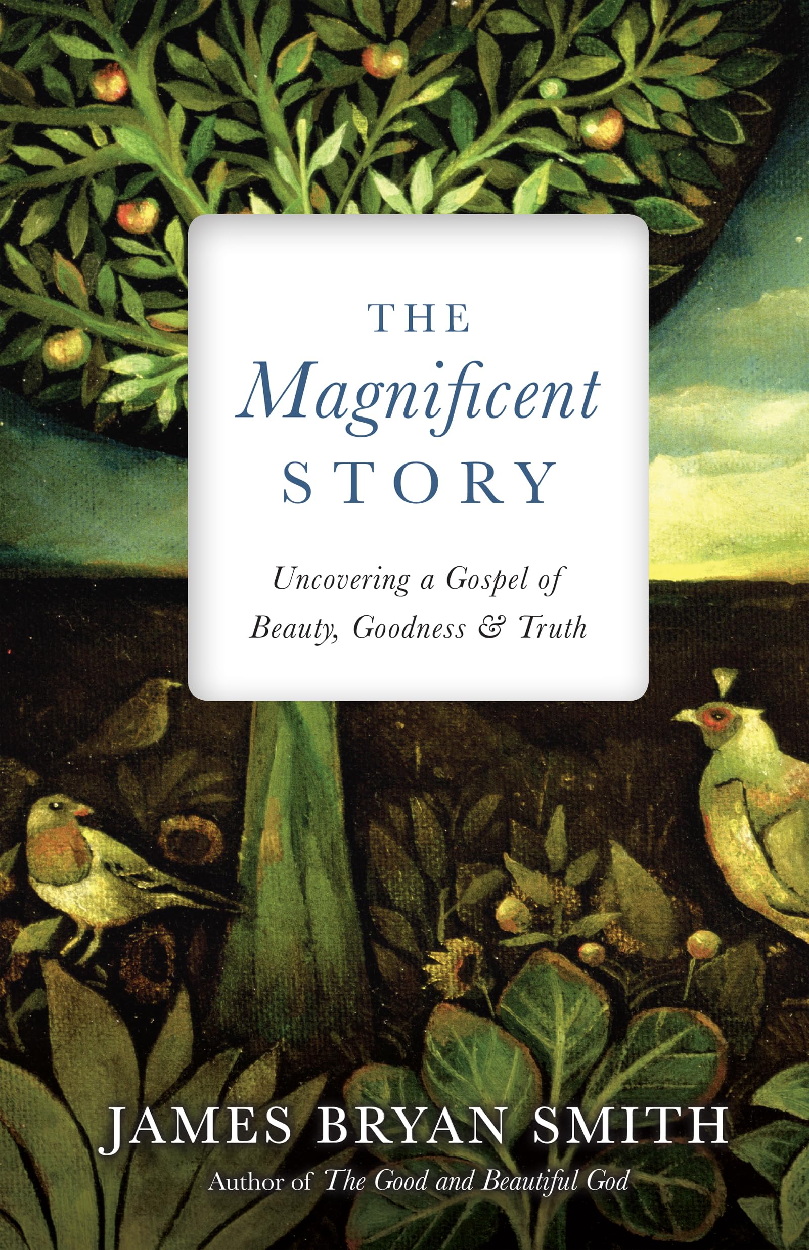 Magnificent Story: Uncovering a Gospel of Beauty, Goodness, and Truth book cover