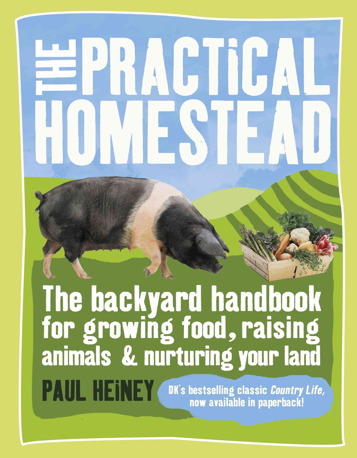Practical Homestead: The Backyard Handbook for Growing Food, Raising Animals & Nurturing Your Land book cover