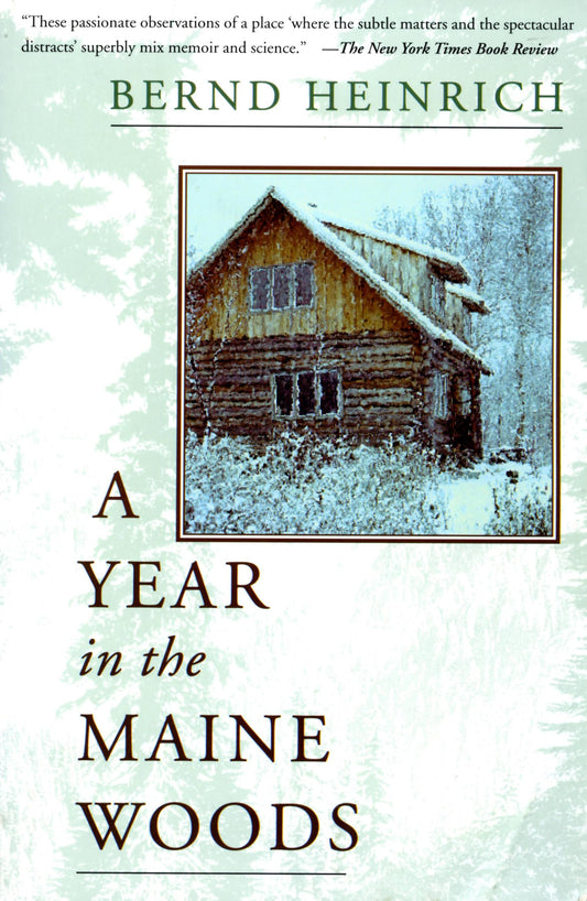 A Year In The Maine Woods book cover