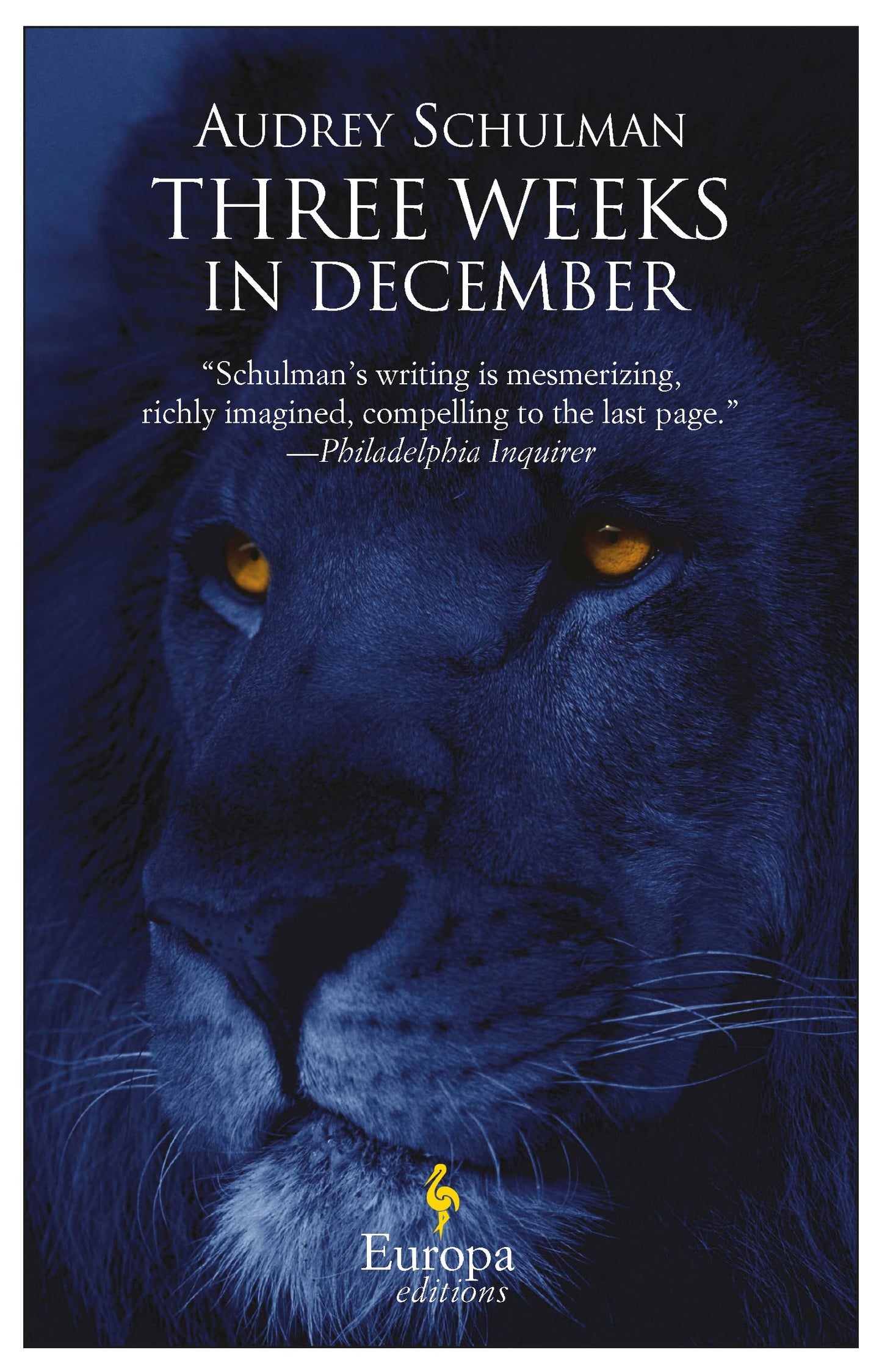 Three Weeks in December book cover