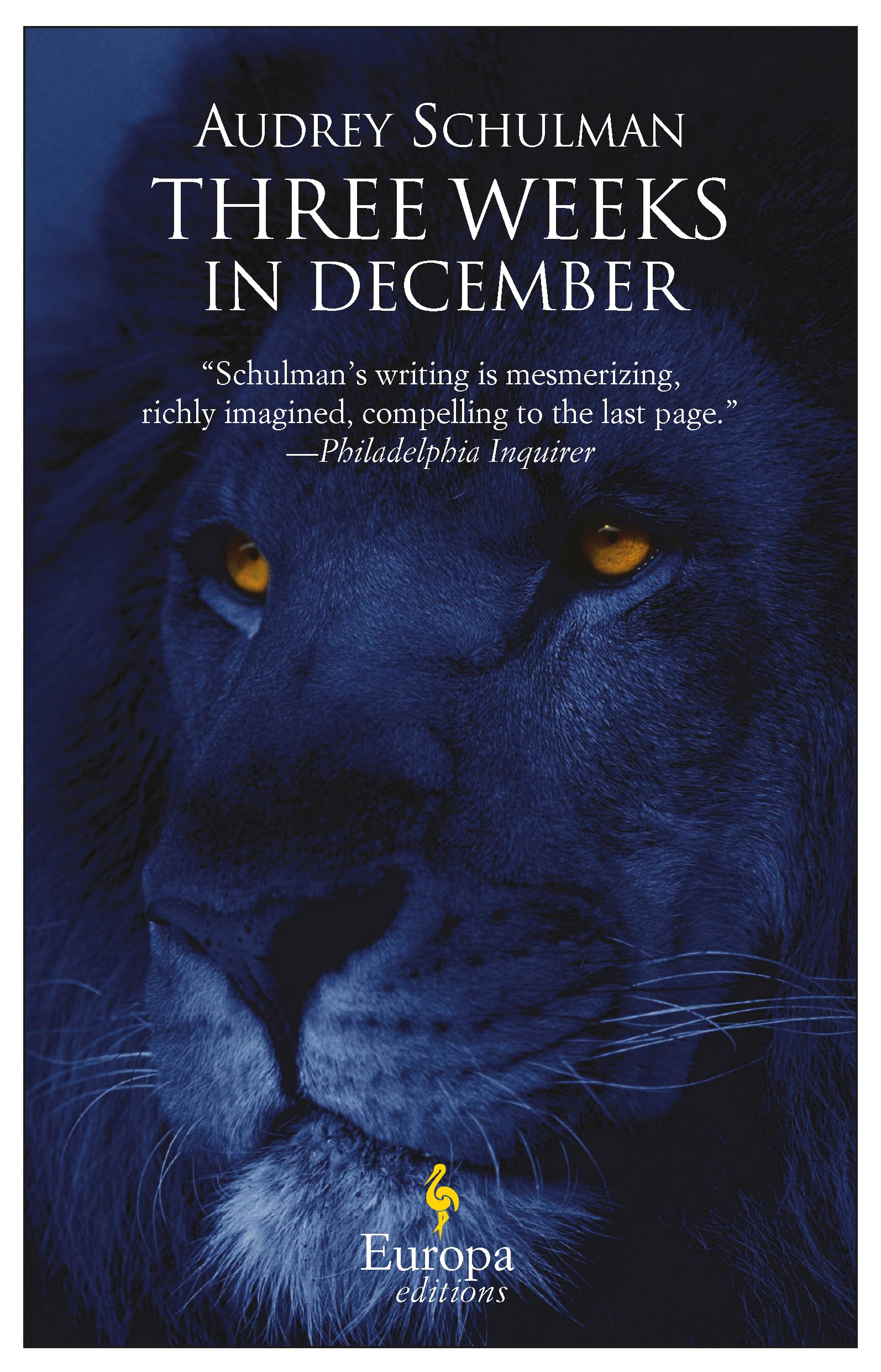 Three Weeks in December book cover