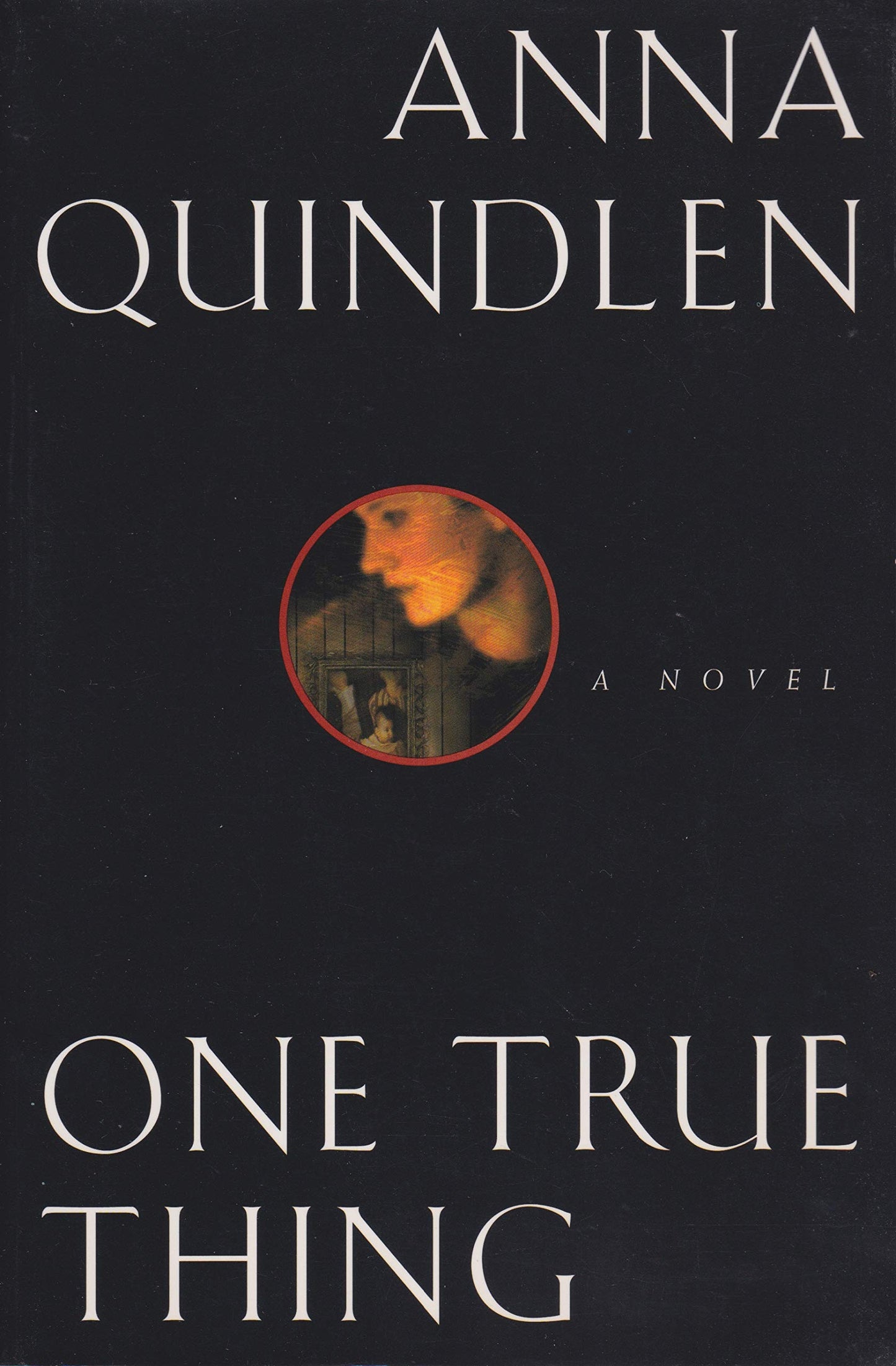 One True Thing book cover