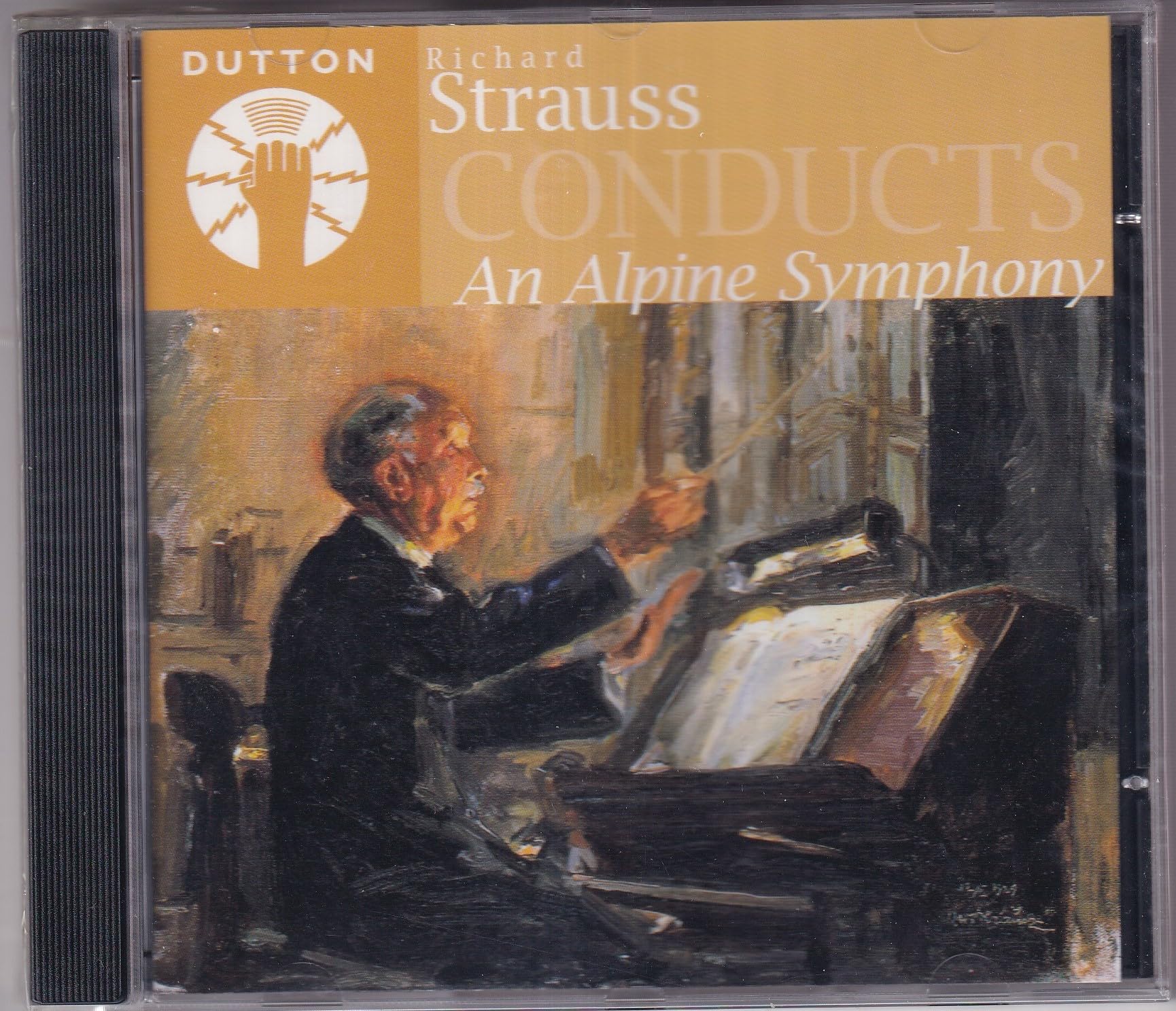 Alpine Symphony book cover