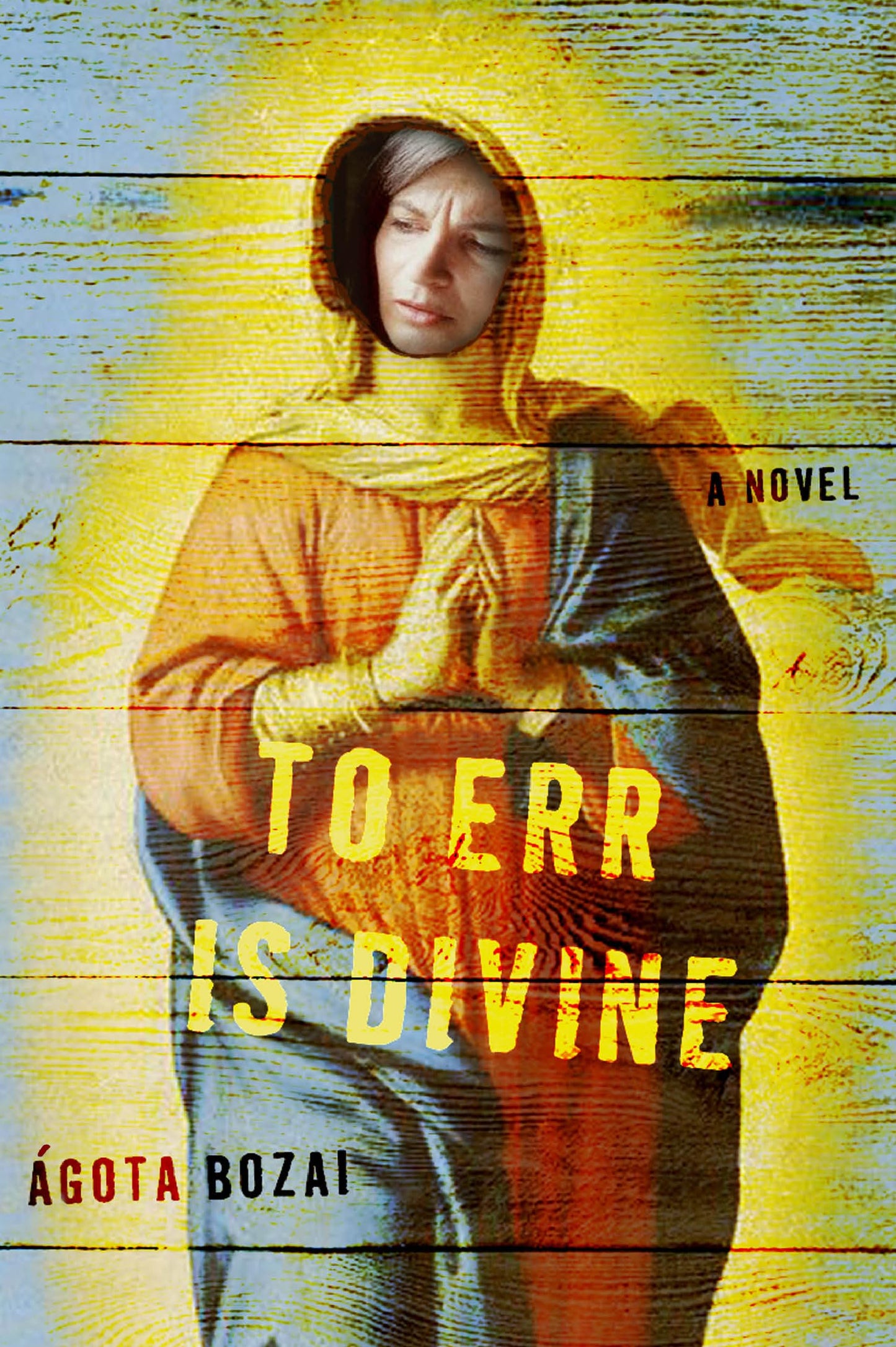 To Err Is Divine: A Novel book cover