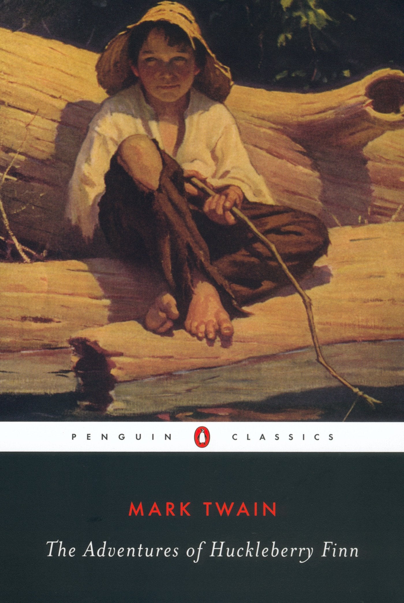 Adventures of Huckleberry Finn book cover