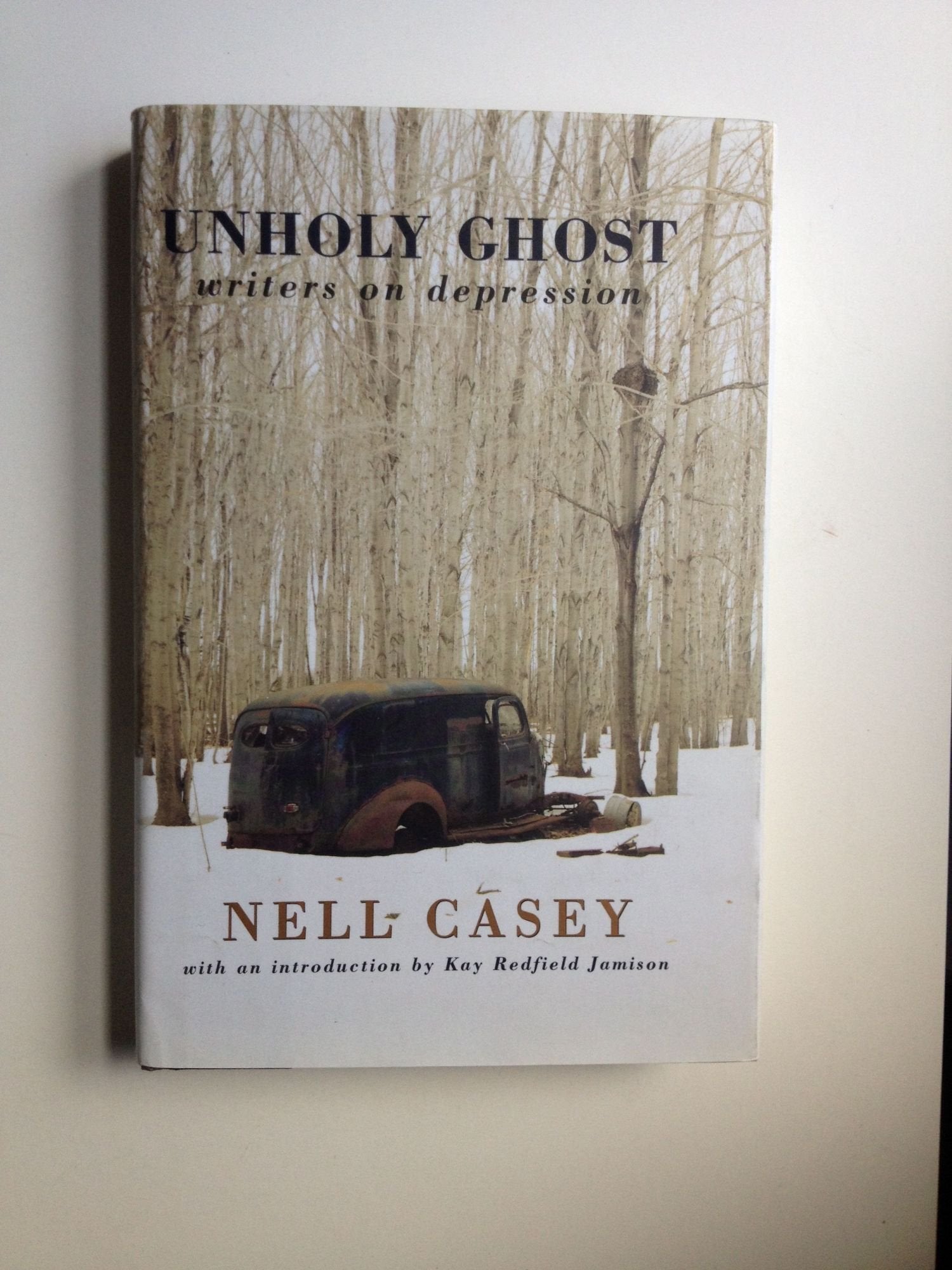 Unholy Ghost: Writers on Depression book cover
