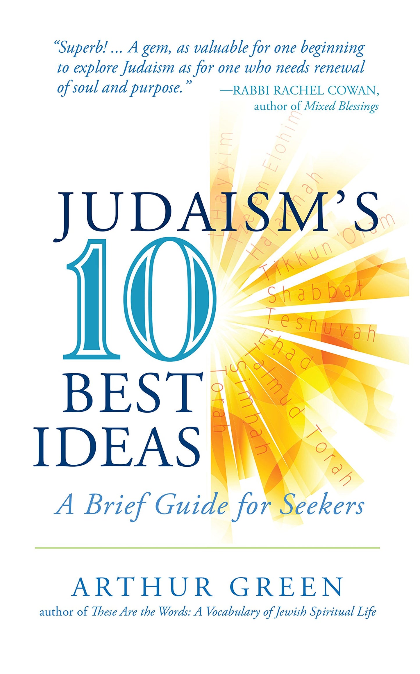 Judaism's Ten Best Ideas: A Brief Guide for Seekers book cover