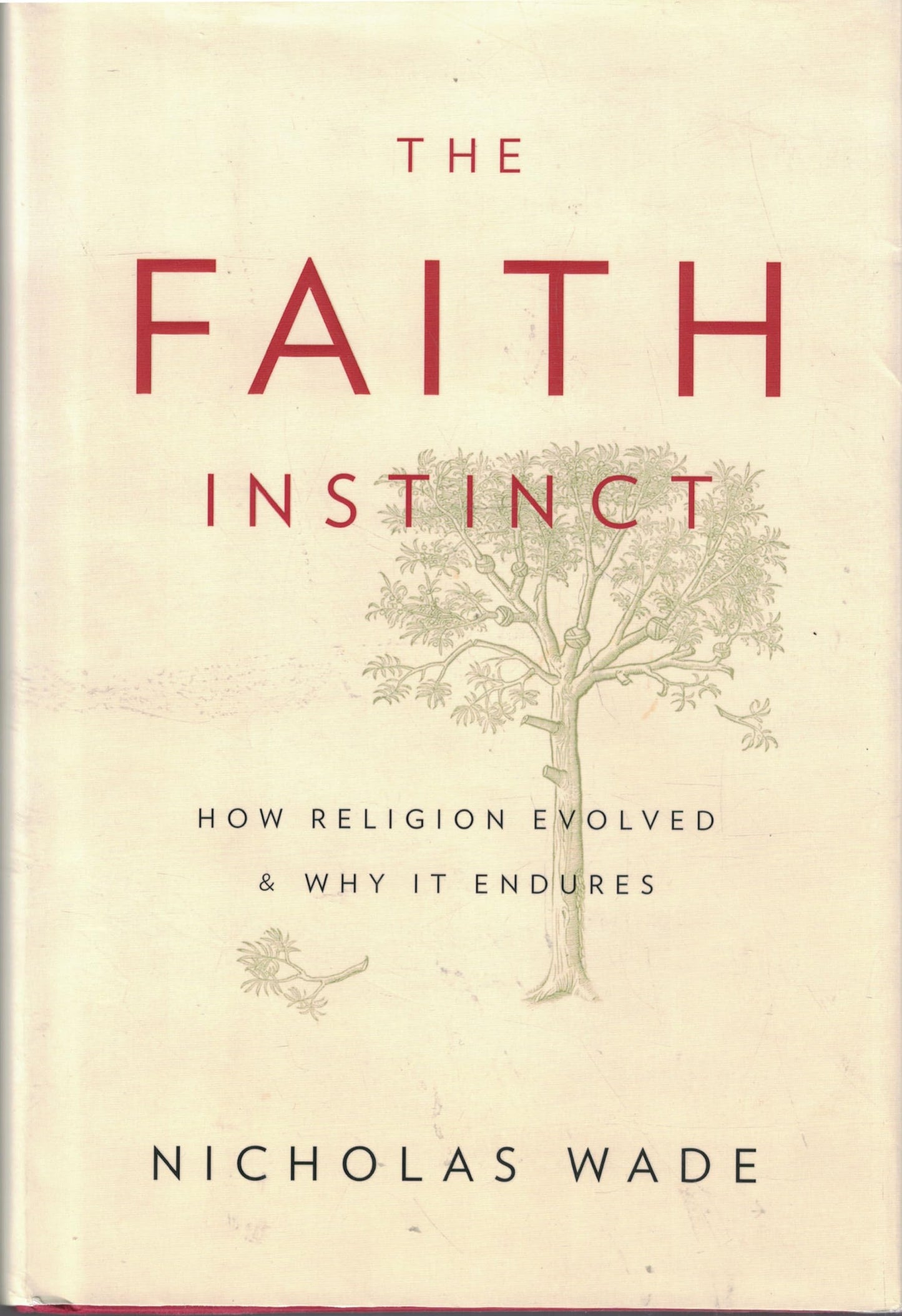 Faith Instinct: How Religion Evolved and Why It Endures book cover