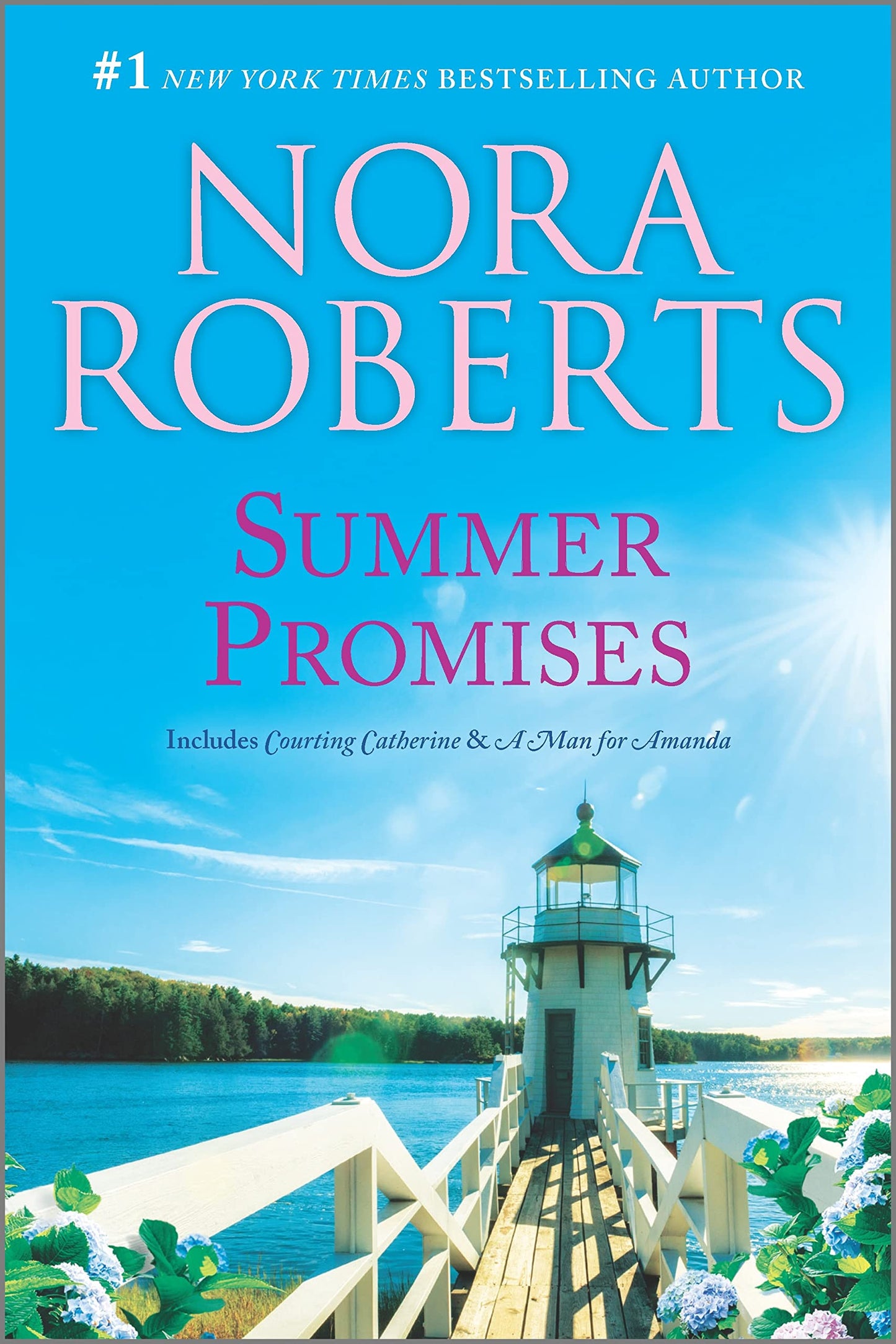 Summer Promises (Reissue) book cover