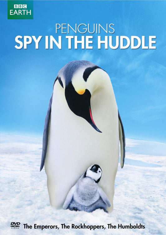 Penguins: Spy in the Huddle