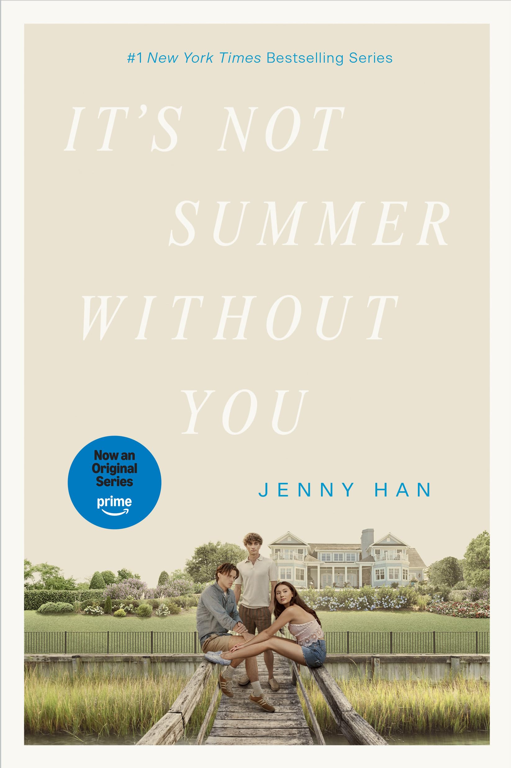 It's Not Summer Without You (Media Tie-In) book cover