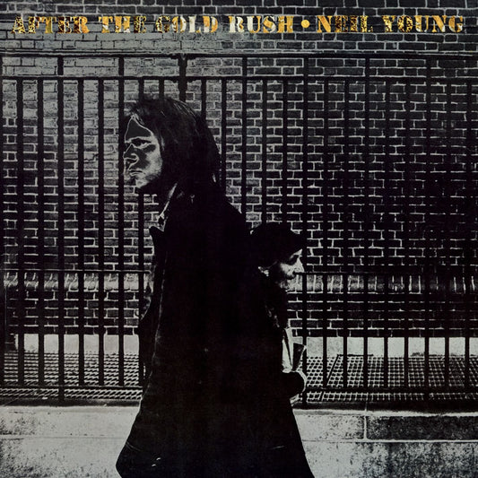 After the Gold Rush (Rmst) book cover