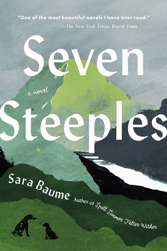Seven Steeples book cover
