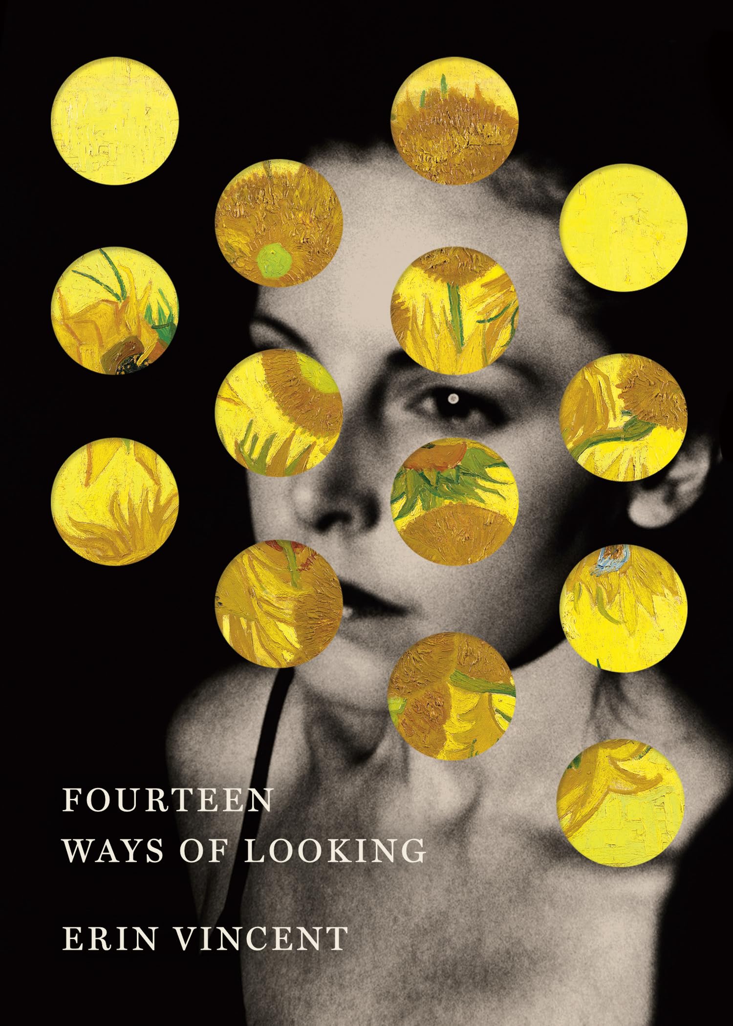 Fourteen Ways of Looking book cover