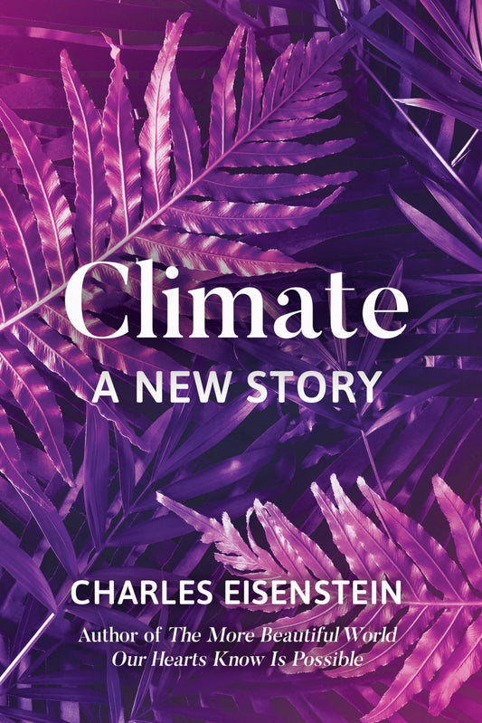 Climate: A New Story book cover