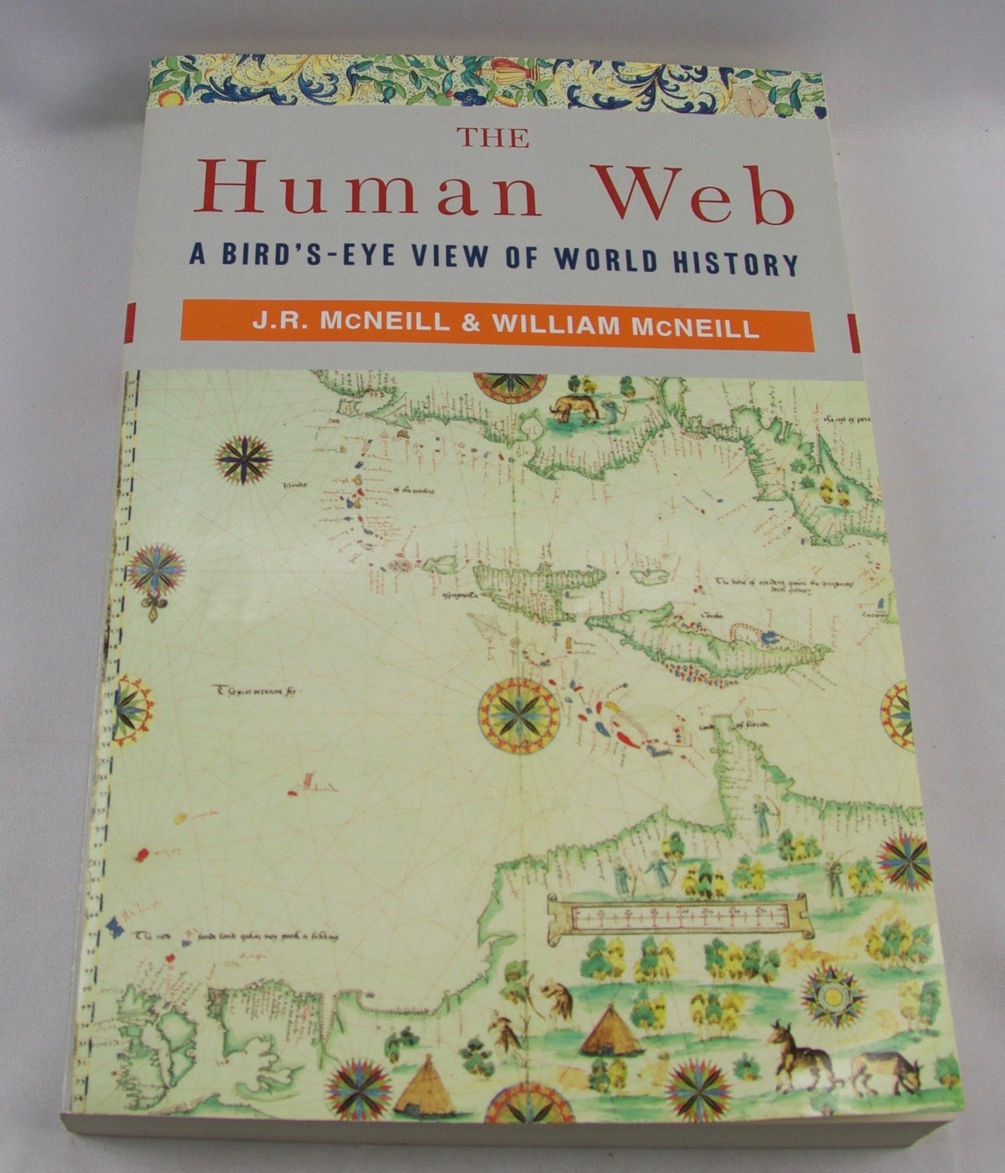 Human Web: A Bird's-Eye View of World History book cover