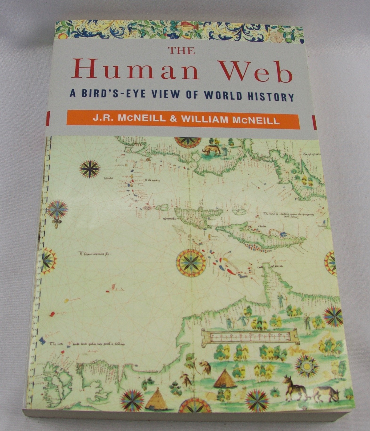 Human Web: A Bird's-Eye View of World History book cover