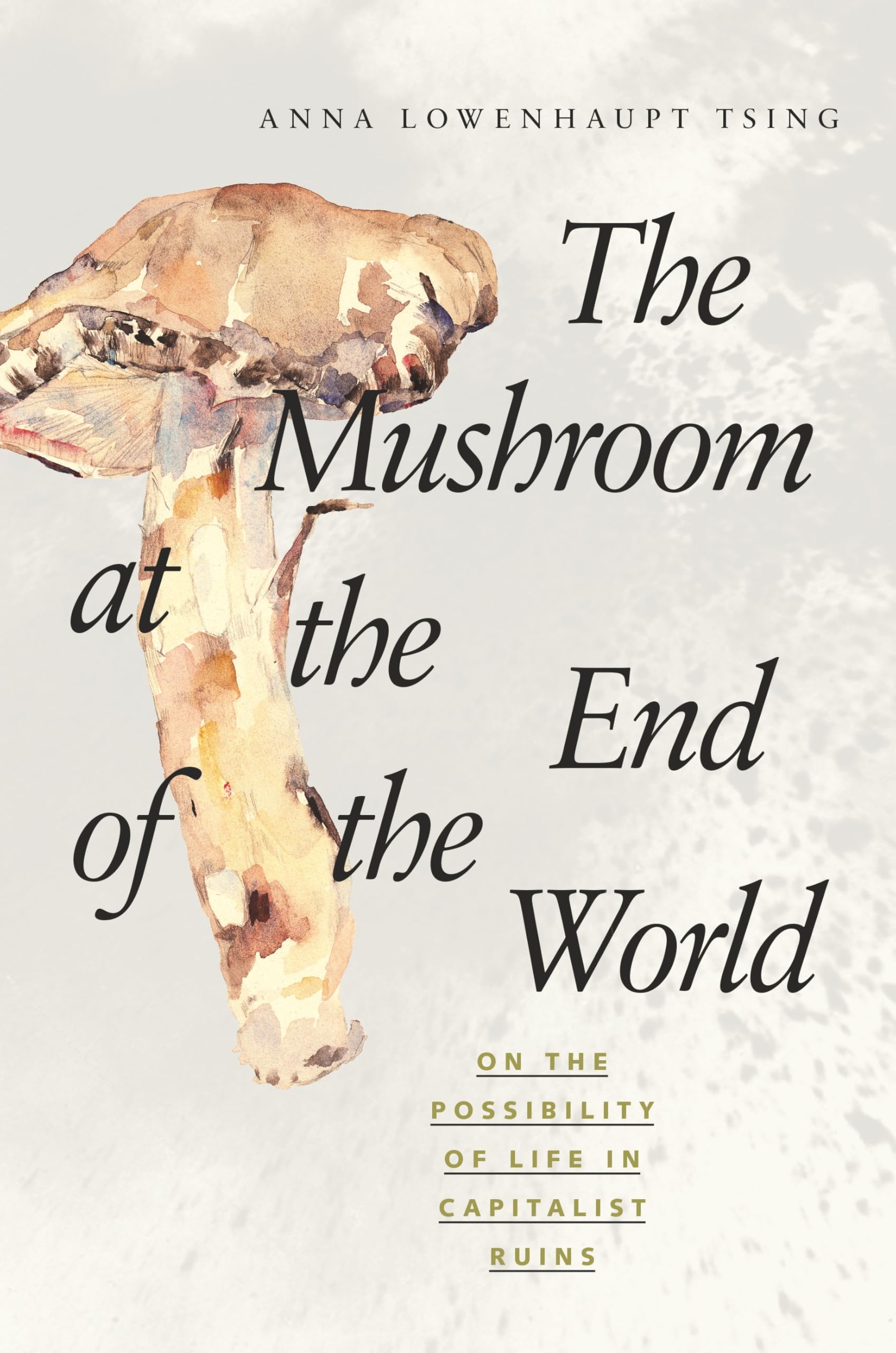 Mushroom at the End of the World: On the Possibility of Life in Capitalist Ruins book cover