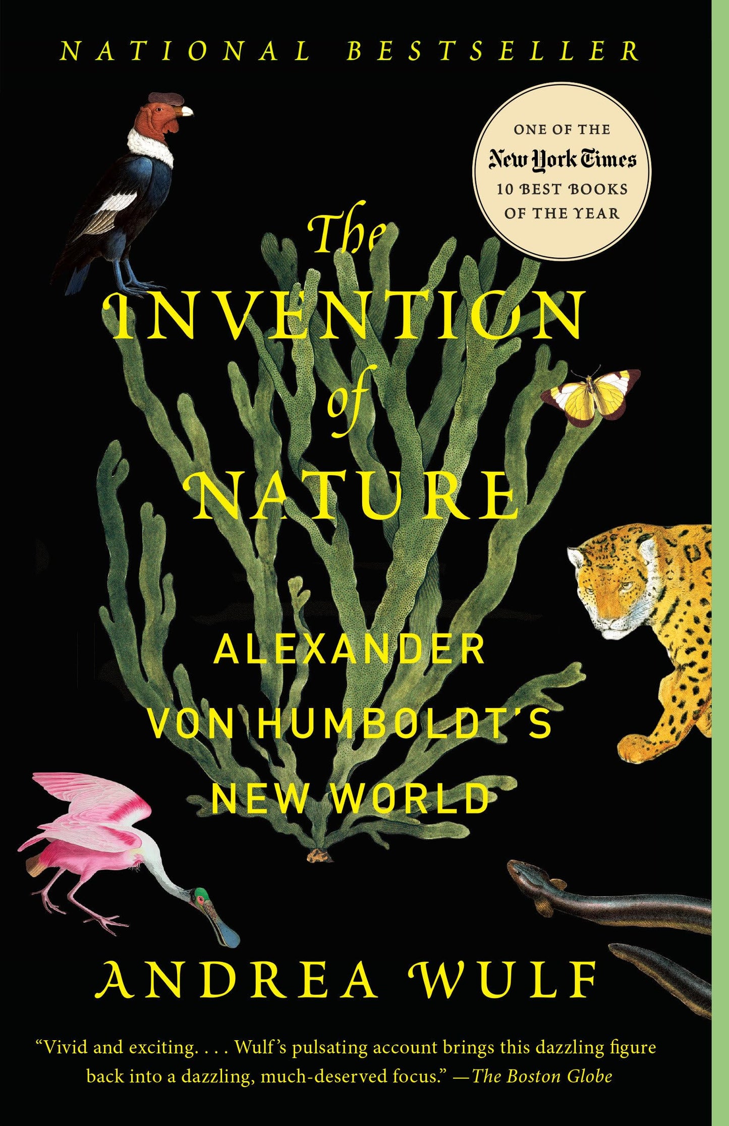 Invention of Nature: Alexander Von Humboldt's New World book cover