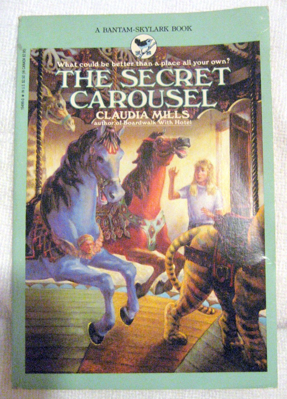 Secret Carousel book cover