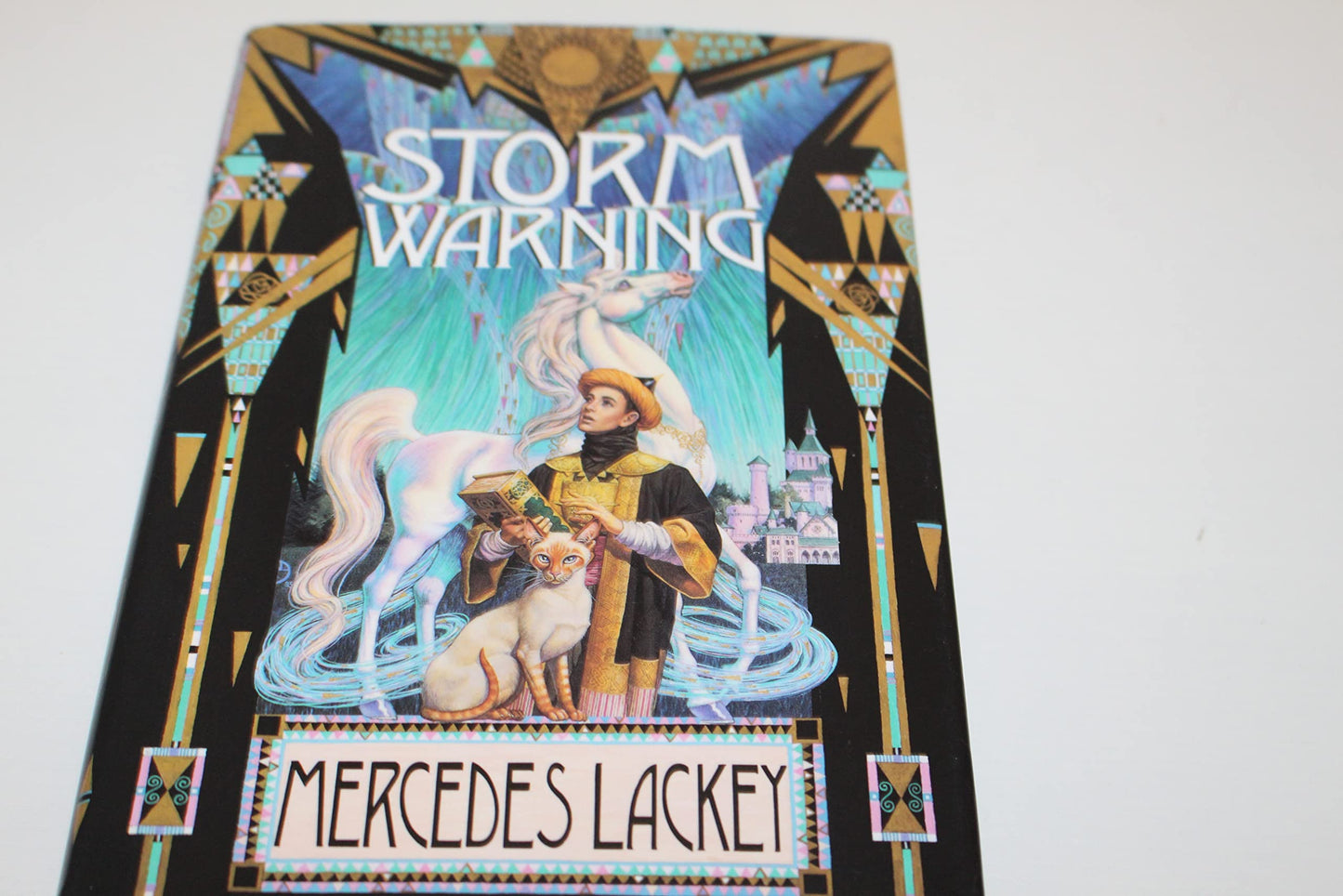 Storm Warning book cover