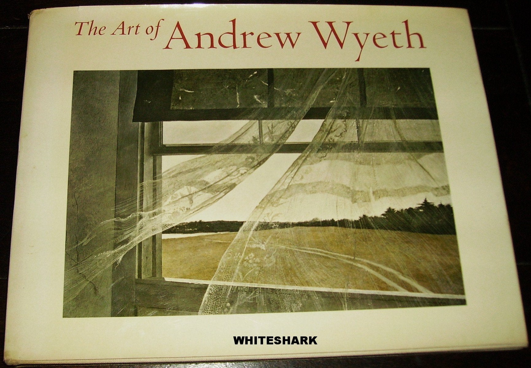 Art of Andrew Wyeth book cover