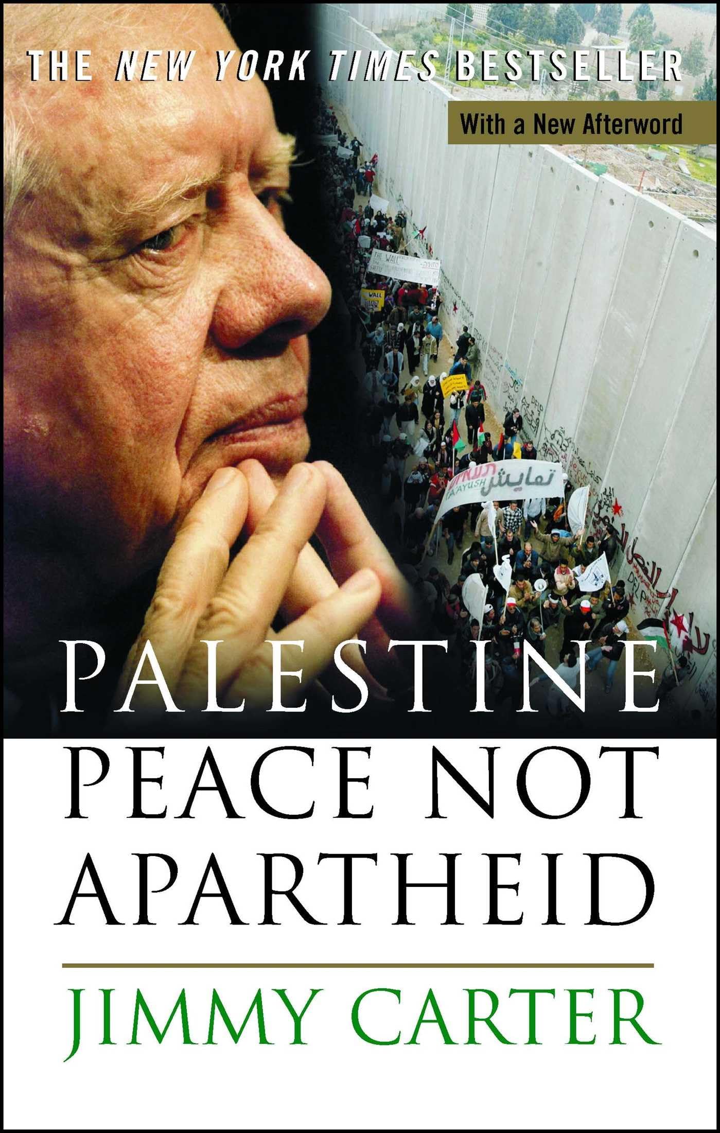 Palestine Peace Not Apartheid book cover