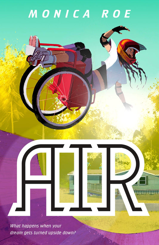 Air book cover