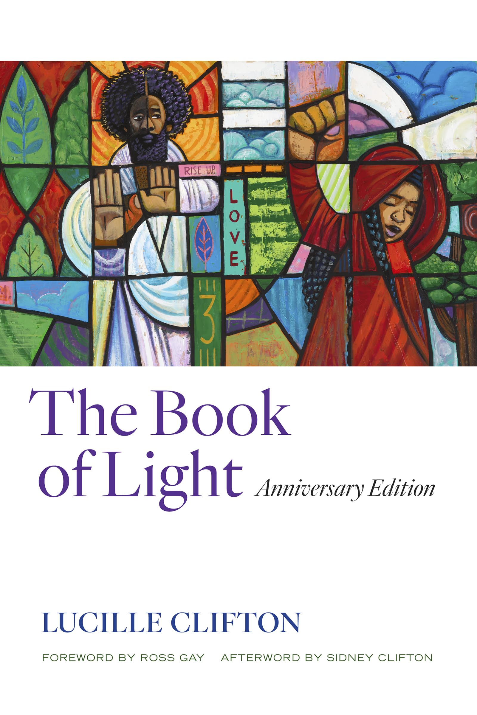 Book of Light: Anniversary Edition book cover