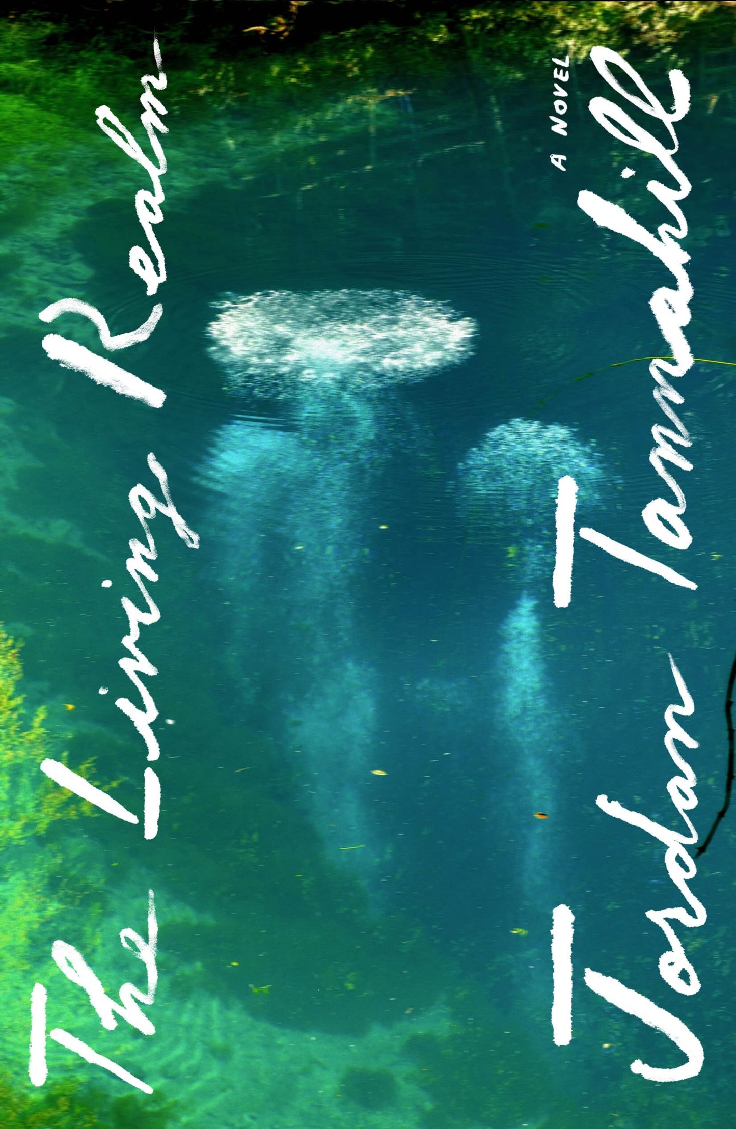 The Living Realm book cover