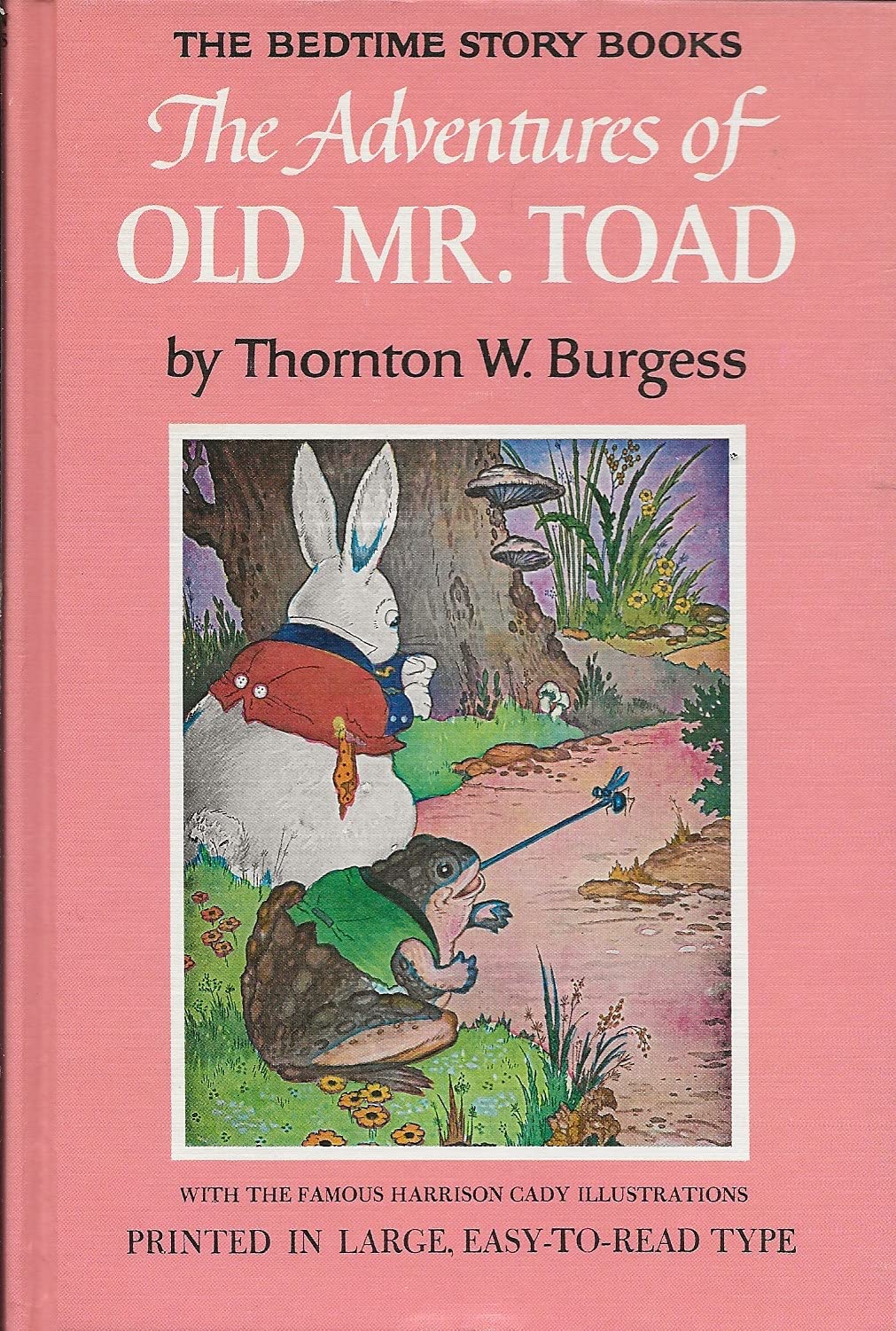 Adventures of Old Mr. Toad book cover