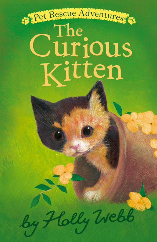 Curious Kitten book cover