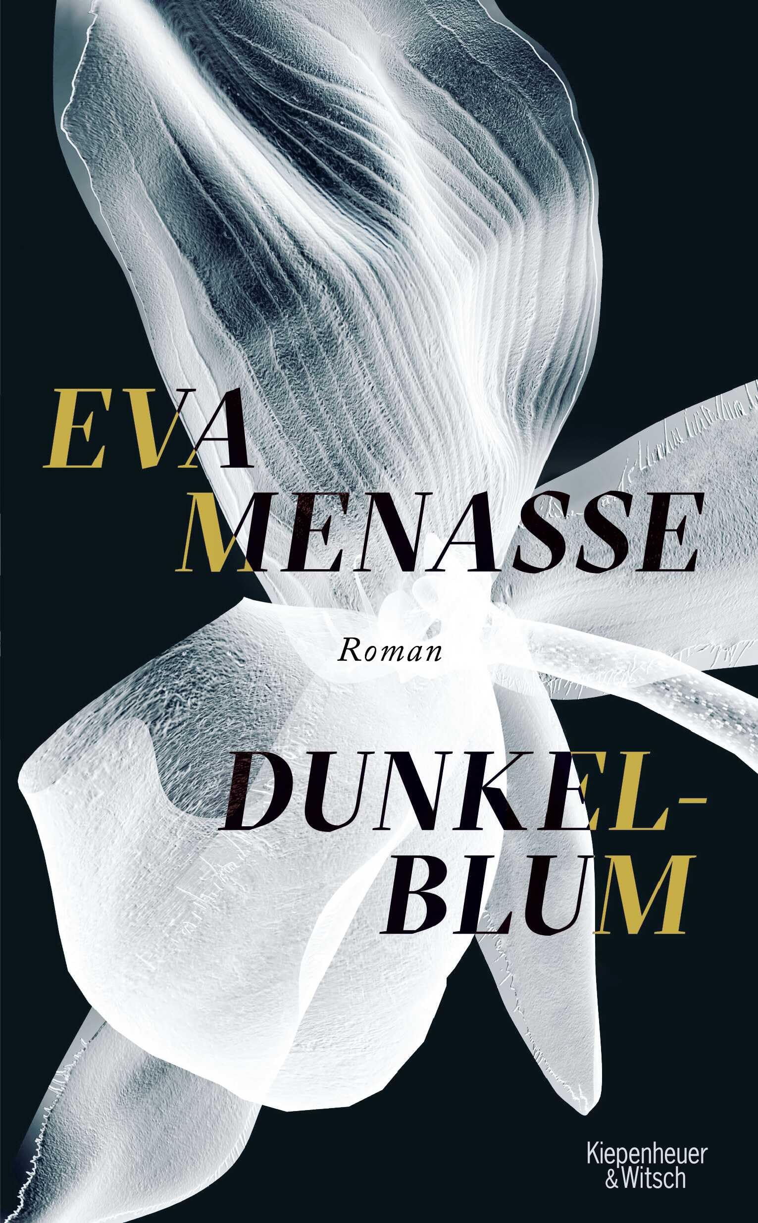 Dunkelblum book cover