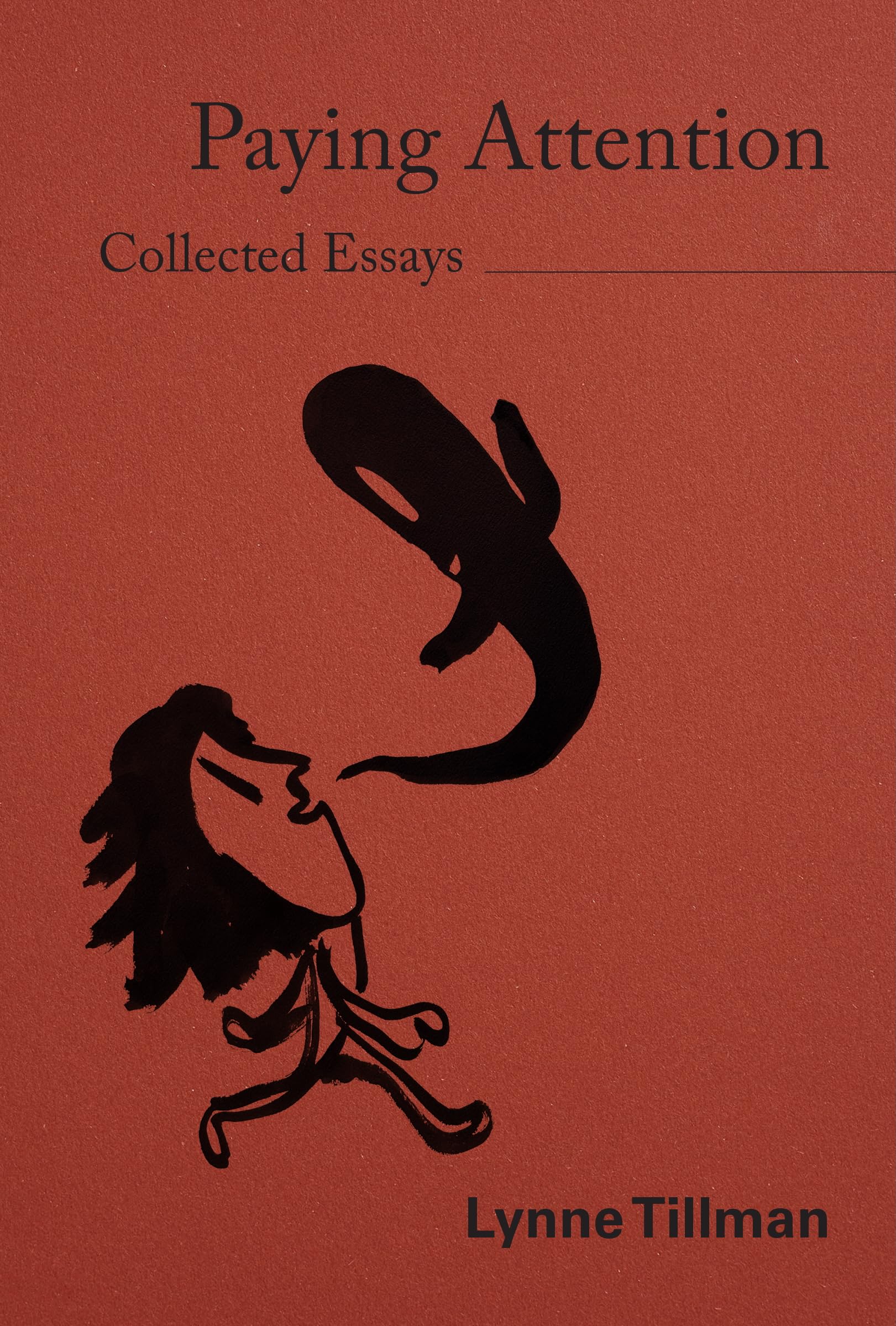 Paying Attention book cover